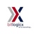 Bitlogicx Logotype