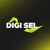 Digisel Systems Limited Logotype
