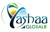 YashaaGlobal Logo