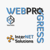 WebProgress.Net, Inc. Logo