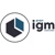 GRUPO IGM MEXICO Logotype