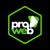 Progressive Web Logo