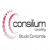 Consilium Consulting / Concordia Studio Logo