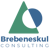 Brebeneskul Consulting Logo