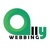 Ally Webbing Logo