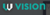 Vision Web Logo