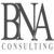 BNA Consulting Services Ltd Logo