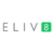 ELIV8 Business Strategies Logo