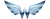 Web On Wings Logo