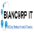 Biancorp IT, LLC