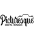 Picturesque Digital Services Logo