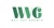 WNG Consulting Pvt. Ltd. Logo