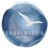 Inspiritus Group, LLC Logo