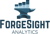 ForgeSight Analytics Logotype