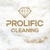 Prolific cleaning Logotype