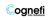 Cognefi Info Solutions Pvt Ltd . Logo