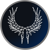 Valkyrie Intelligence Logo