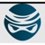 Digital Ninja 9 Logo