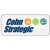 Cohn Strategic Logo