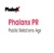 Phalanx PR Logotype