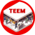 TEEM LLC Logo