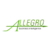 Allegro Business Intelligence Logo