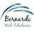 Bernardi Solutions Logotype