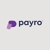 Provider Logotype Payro Finance Logo