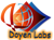 Doyen Labs Logo