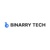 Binarry Tech Logo