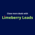Limeberry Leads Logo
