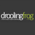 Droolingfrog Web Design Logo
