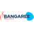 Bangaree Infotech Solutions Logo