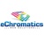 eChromatics Web Solutions Logo