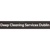 Deep Cleaning Services Dublin Logotype