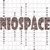 Niospace Logo