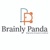 Brainly Panda Logo