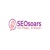 SEO Soars Logo
