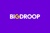 BigDroop Logo