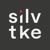 Silvertake Video Logo