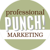 Professional PUNCH Logo