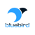 BlueBird Digital Logo