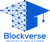 Blockverse Infotech Solutions Logo