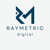 Raymetric Digital LLP Logo