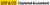 USP & Co Logo