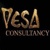 Vesa Kivinen  | VESA Digital LLC. Logo
