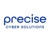 Provider Logotype Precise Cyber Solutions Logo