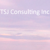 TSJ Consulting Inc. Logo