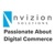 Nvizion Solutions Inc. Logo