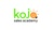 Kojo Sales Academy Logo